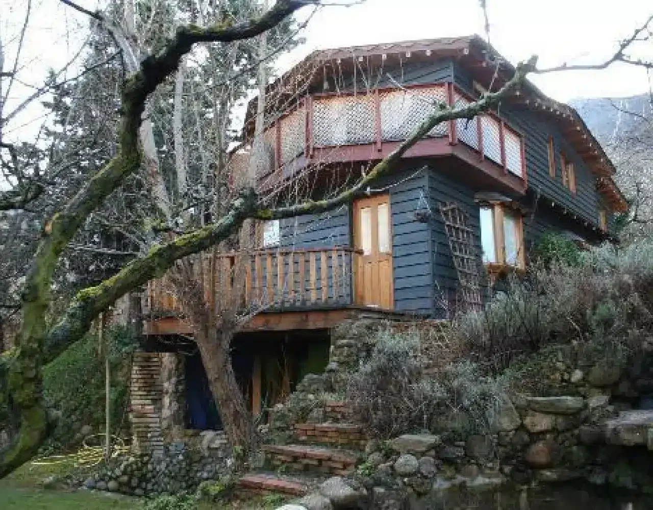 La Casa Verde - Foto 1