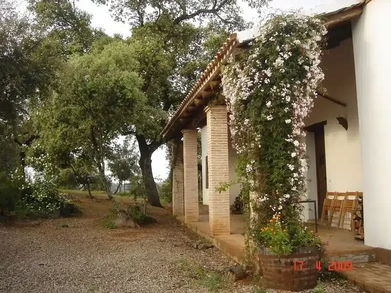 Finca Los Bogantes - Foto 4