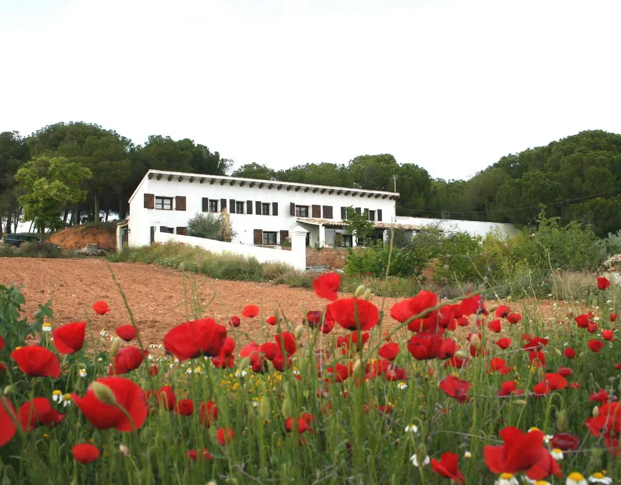 La Granja de Gil - Foto 2