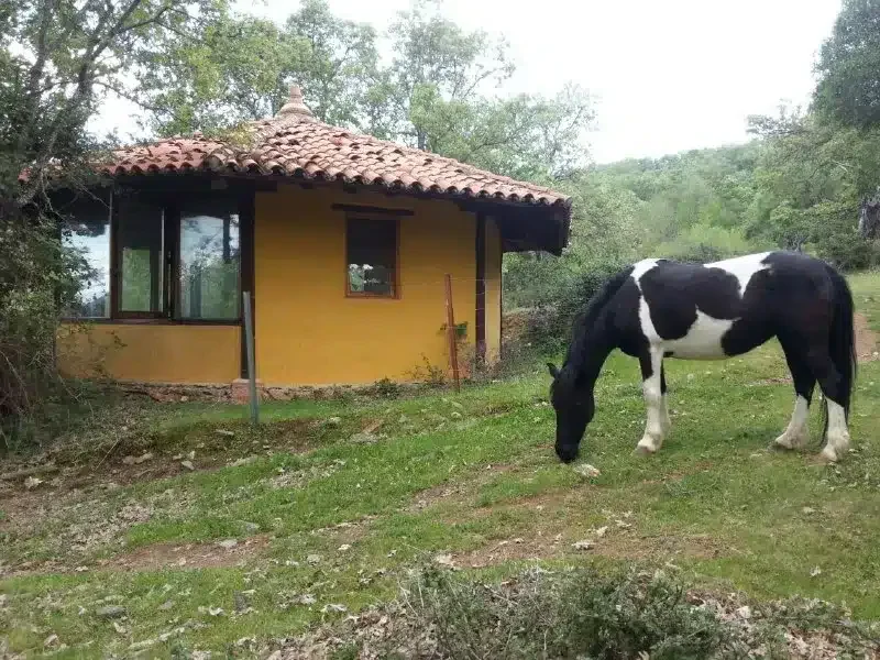 El Rincón de los Cerezos - Foto 1