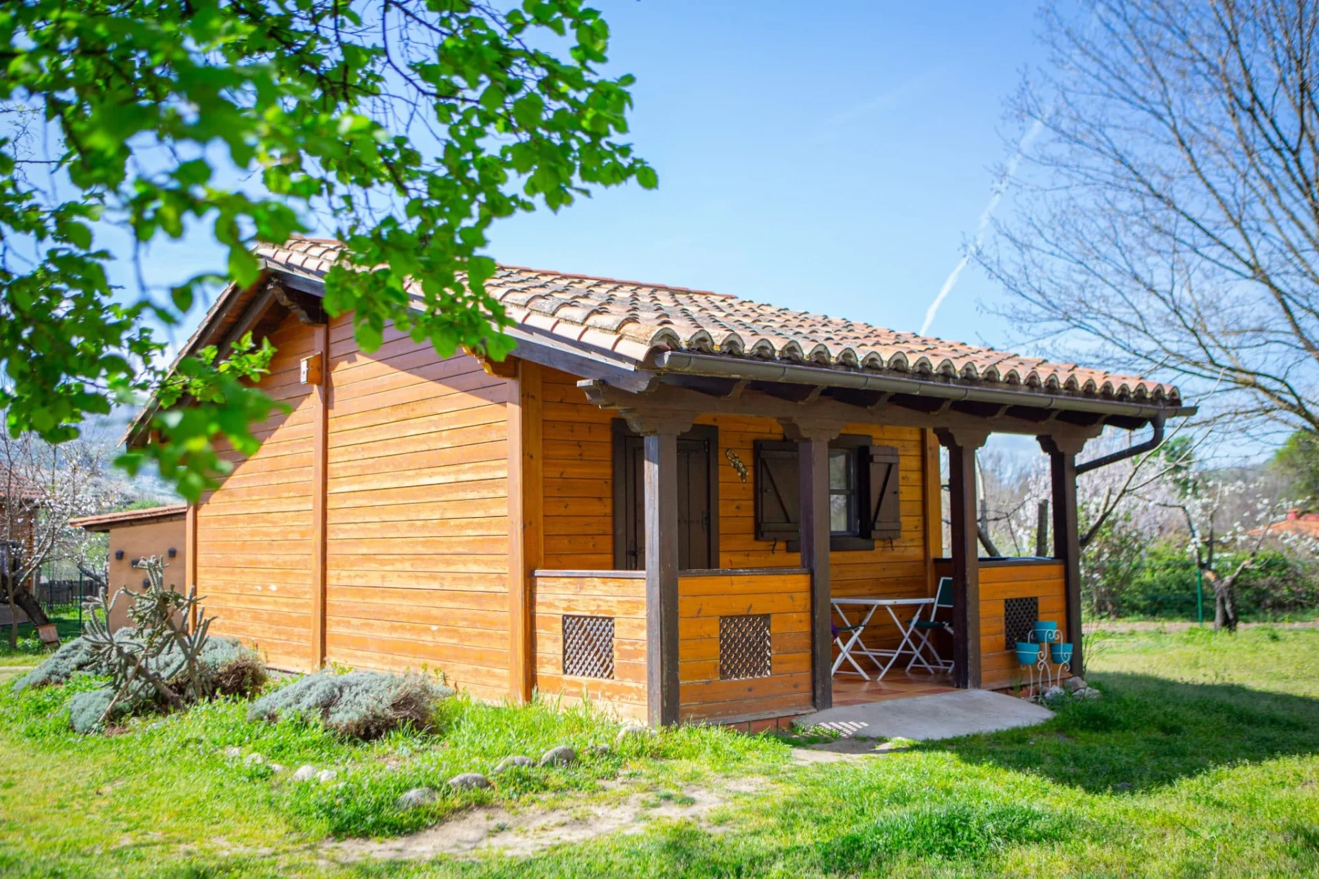 El Rincón del Jerte - Foto 1