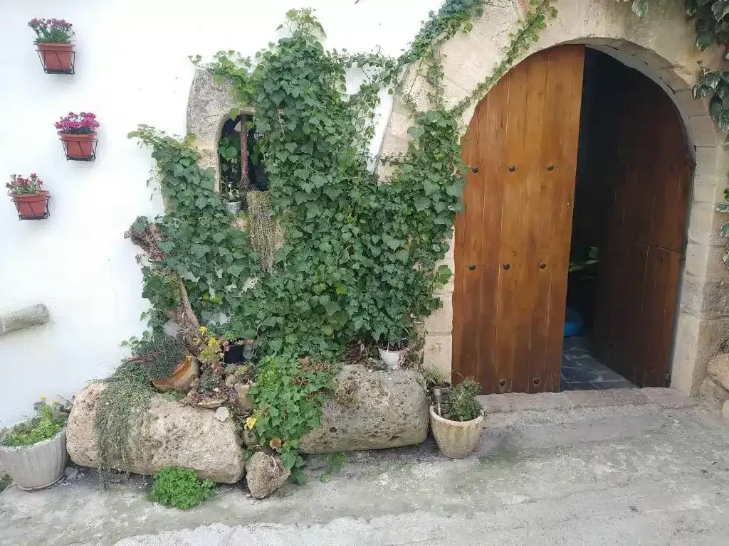 Can Pavet - Foto 2