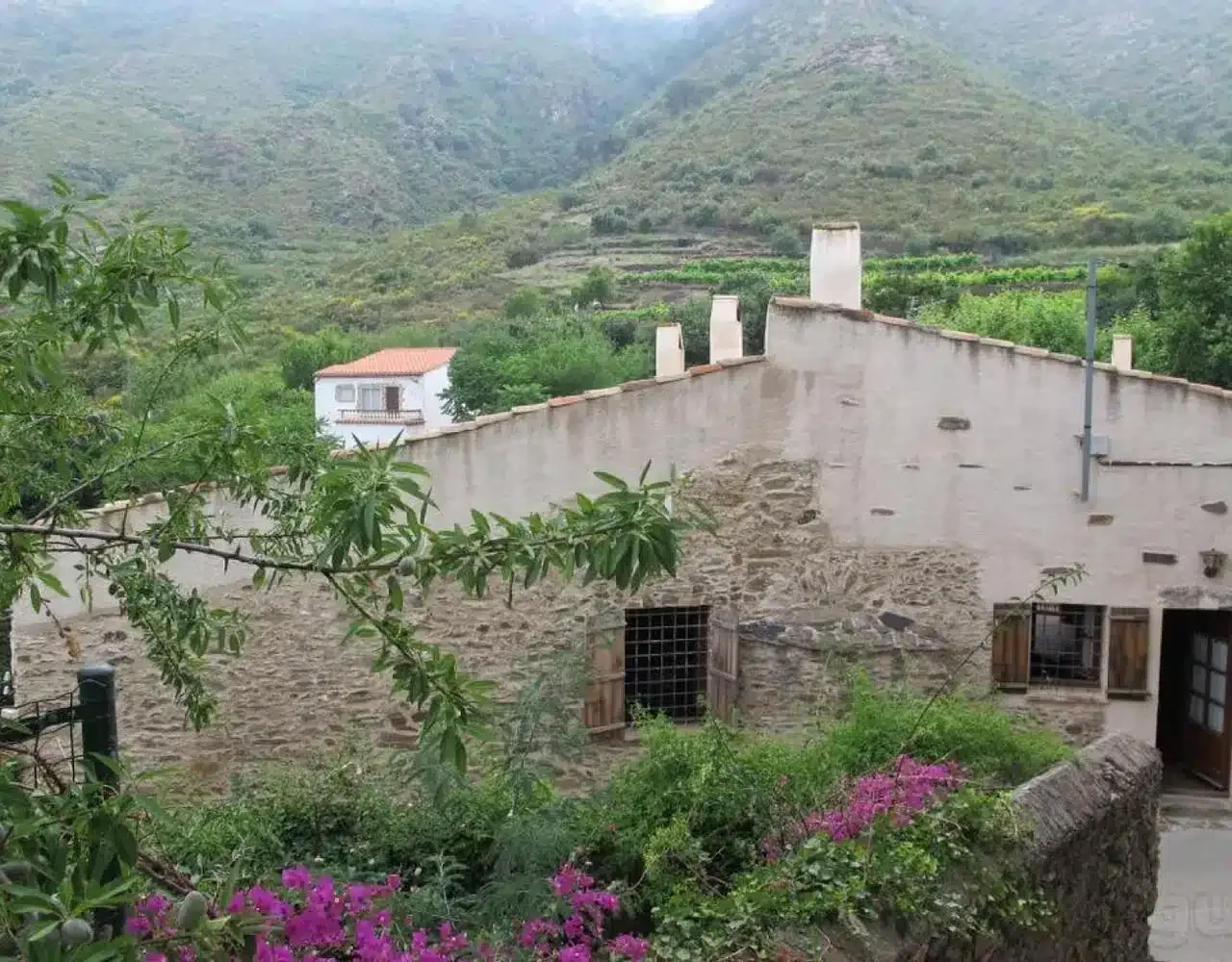 Can Patorra - Foto 2