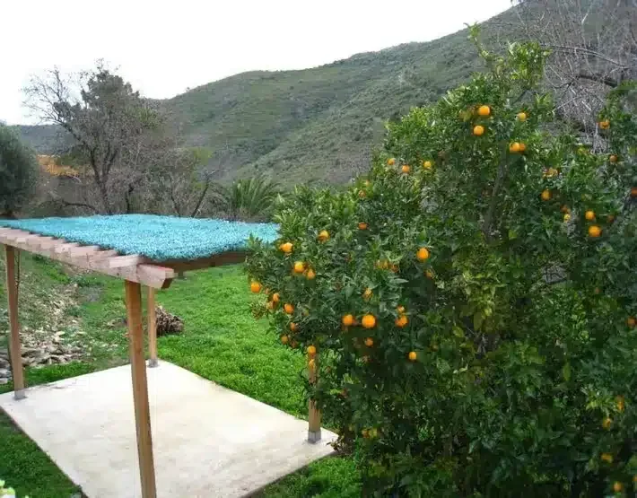 Can Patorra - Foto 3