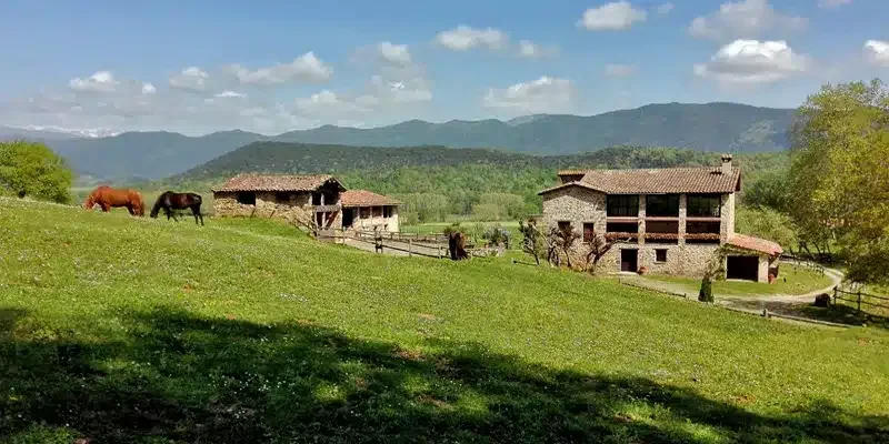 Mas Bellver - Foto 2