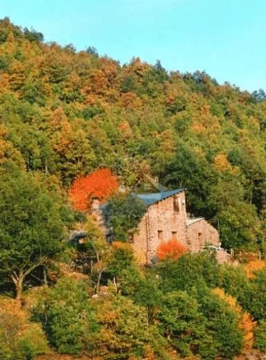 Borda El Vilar - Foto 4