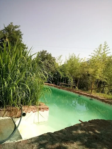 Masía de Llaràs - Foto 5