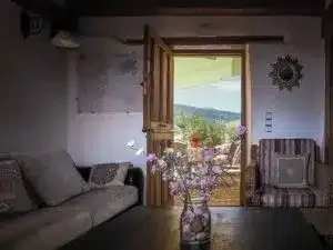 La Solana de Frías - Foto 4