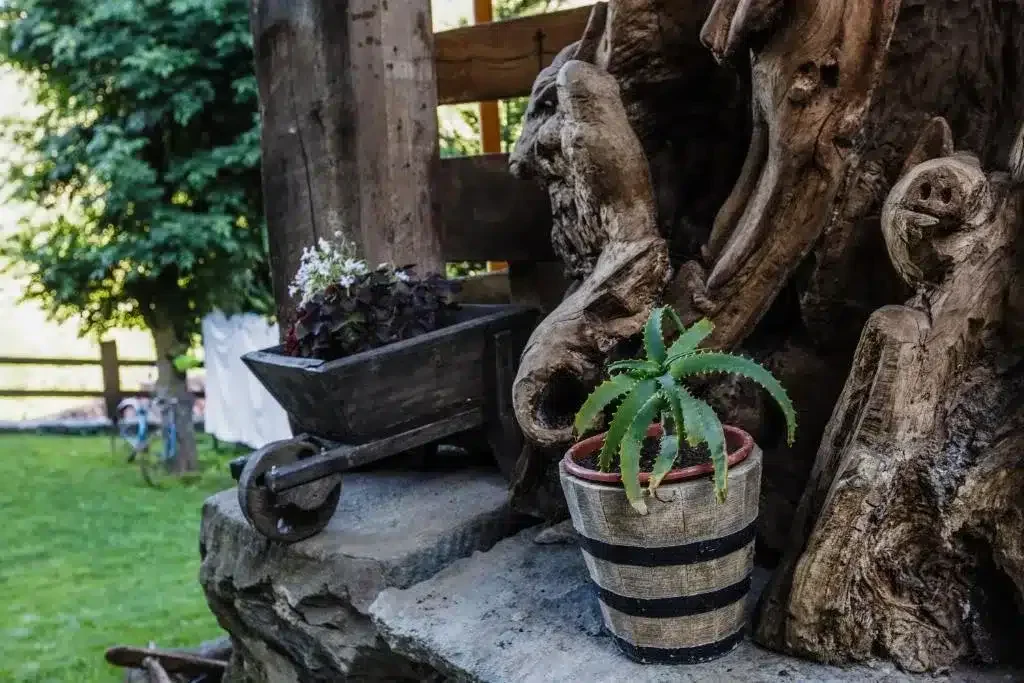 La Posada de Cucayo - Foto 3