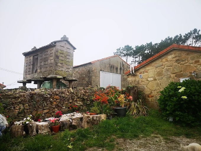 Xanela da Lúa - Foto 1