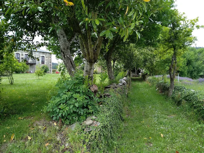 Longarela - Foto 4