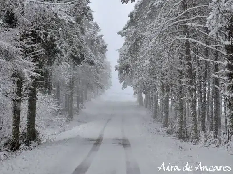Aira de Ancares - Foto 3