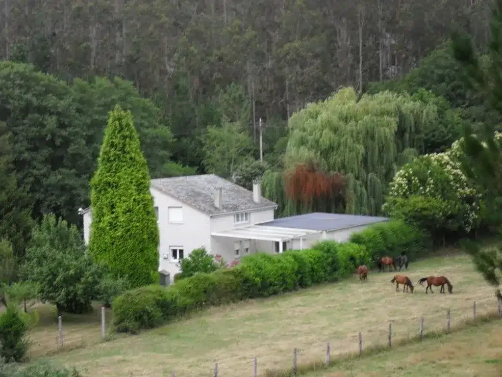 Finca El Remanso - Foto 2