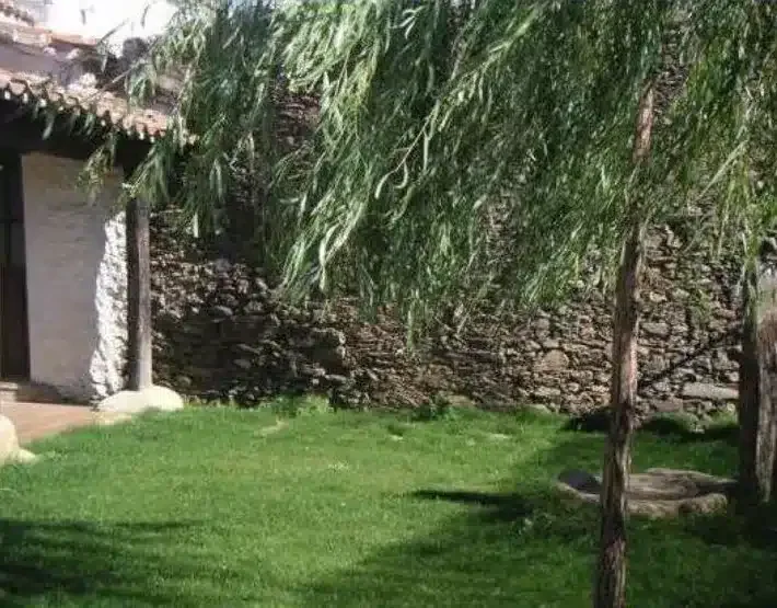 Don Rodrigo - Foto 5