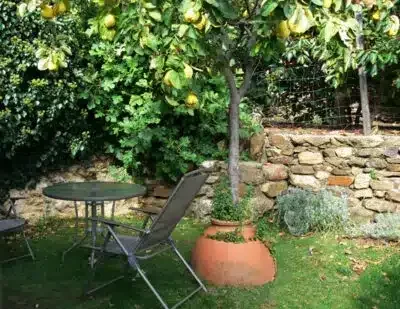 El Aguamanil - Foto 5