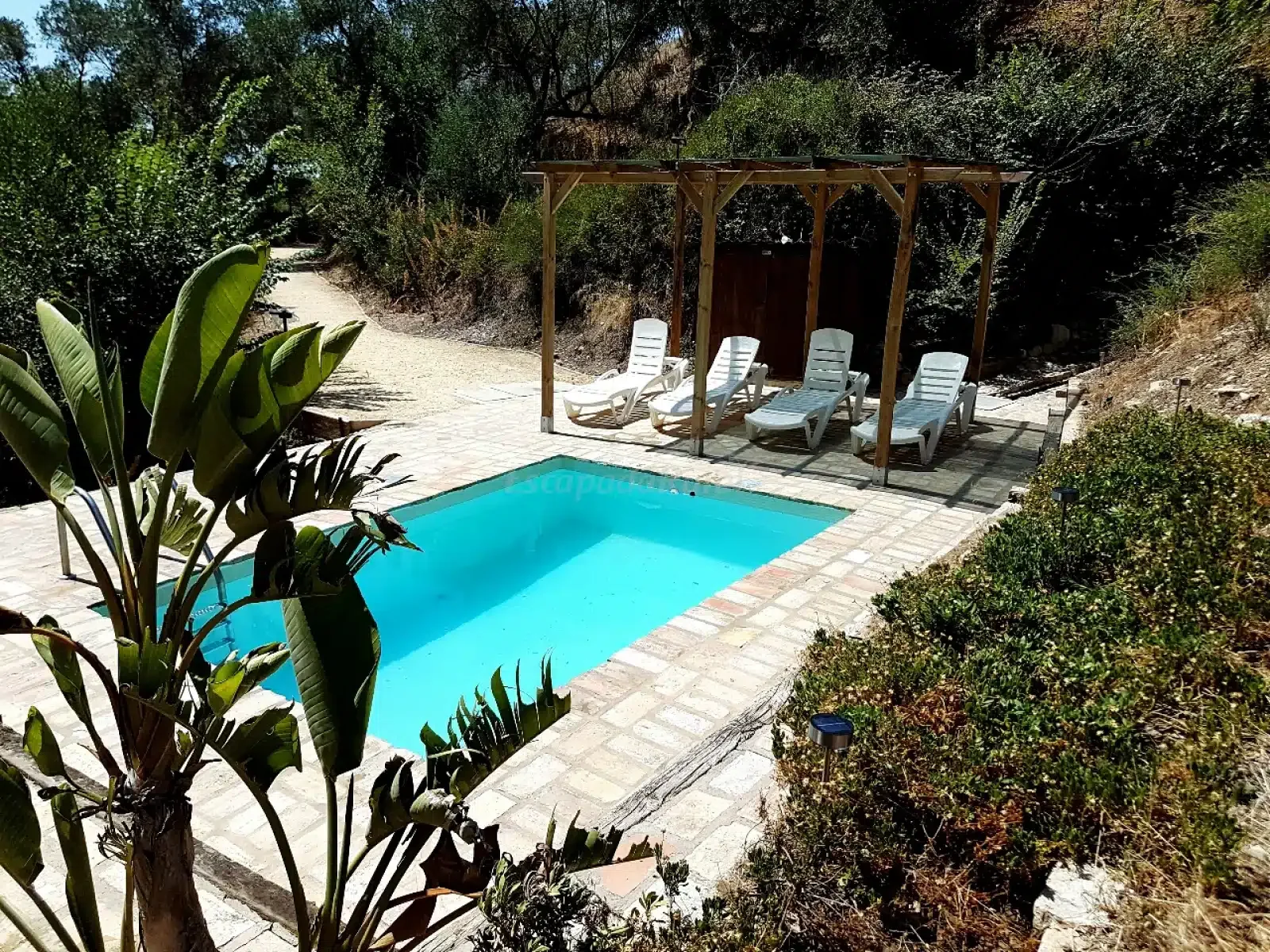 El Molino Nuevo - Foto 2