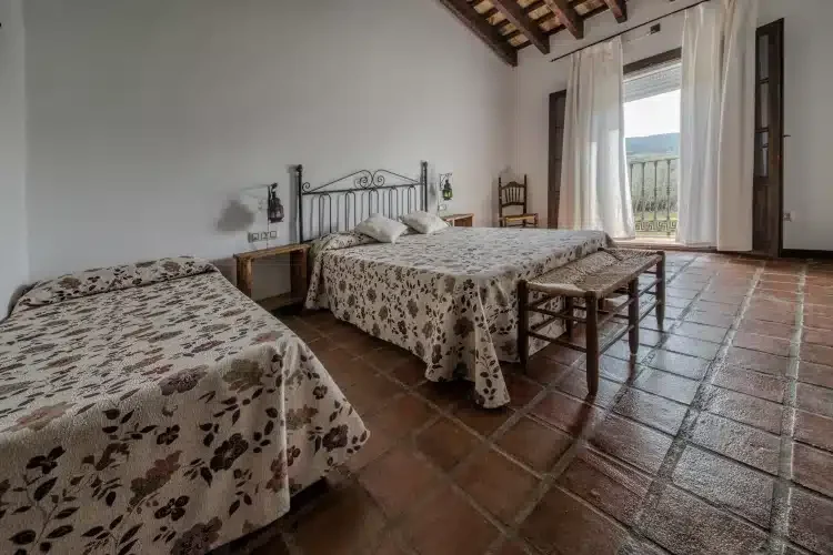El Molino Nuevo - Foto 4