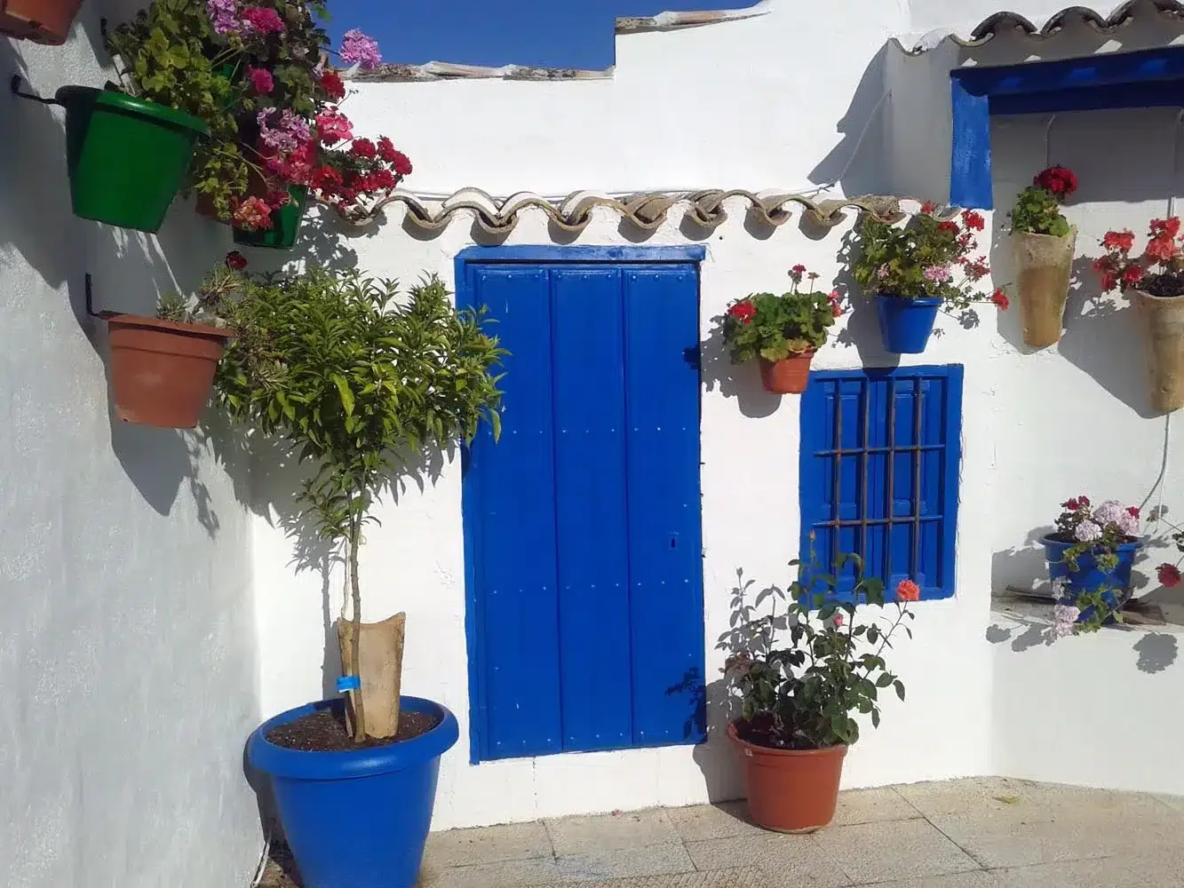 La Casa de Camponubes - Foto 4