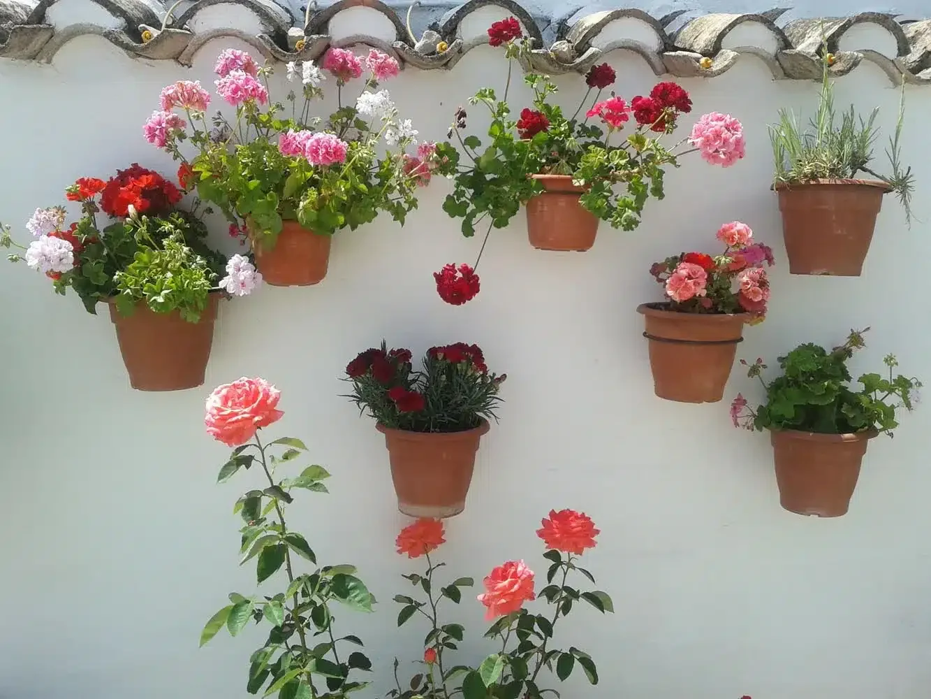 La Casa de Camponubes - Foto 5