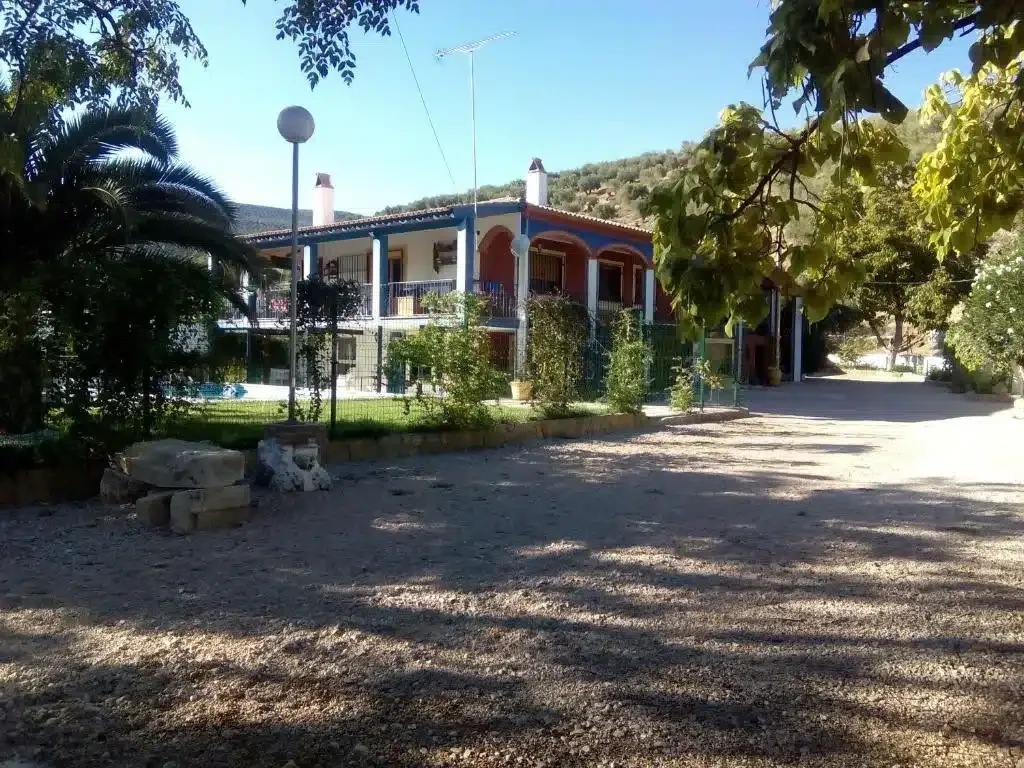 El Azamur - Foto 2