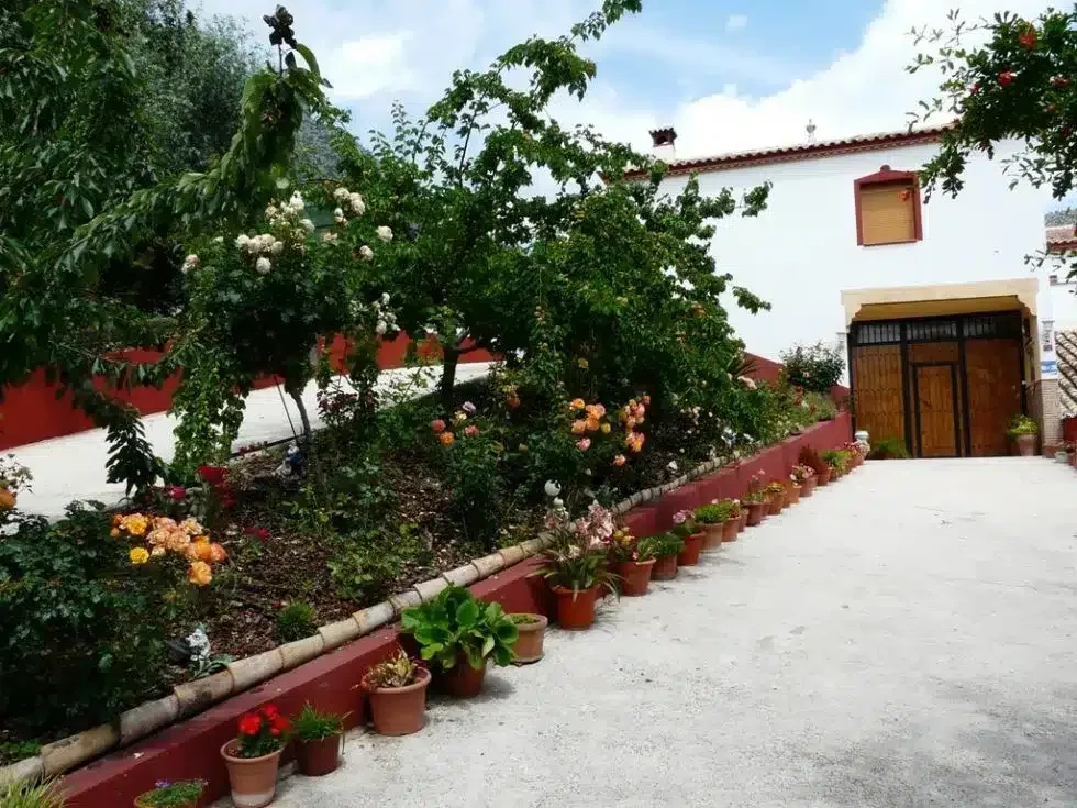 Balcón de Mágina - Foto 5