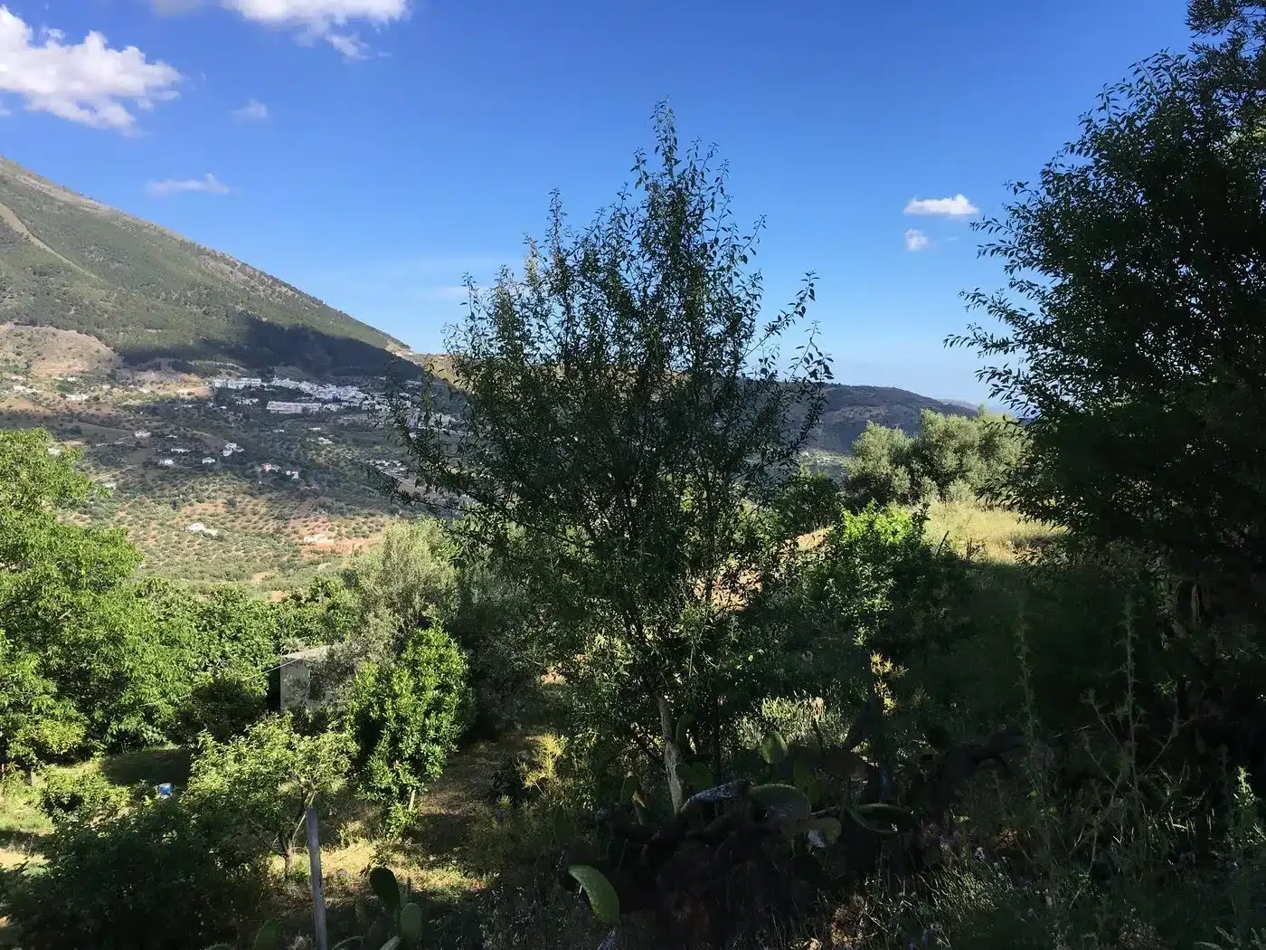 Las Piedras - Foto 4