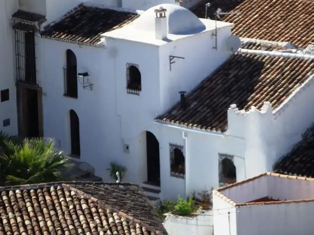 Posada del Fresno - Foto 5