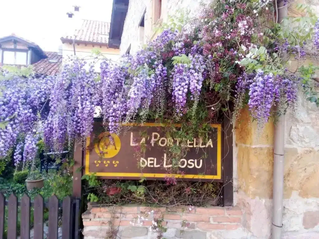 La Portiella del Llosu - Foto 2