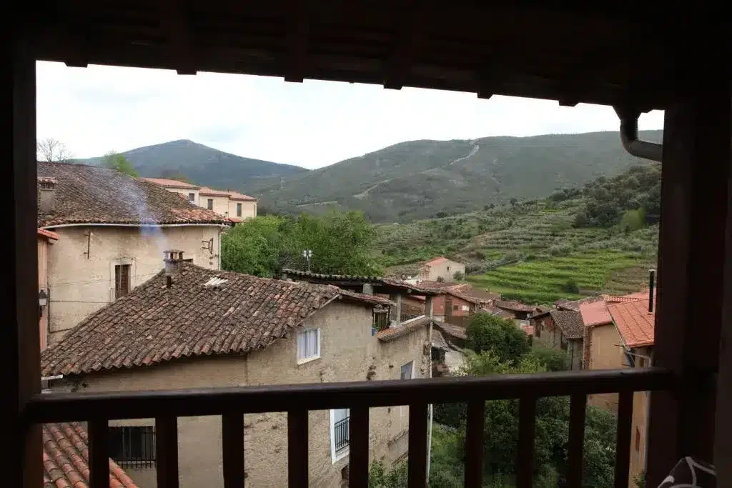 La Solana - Foto 4