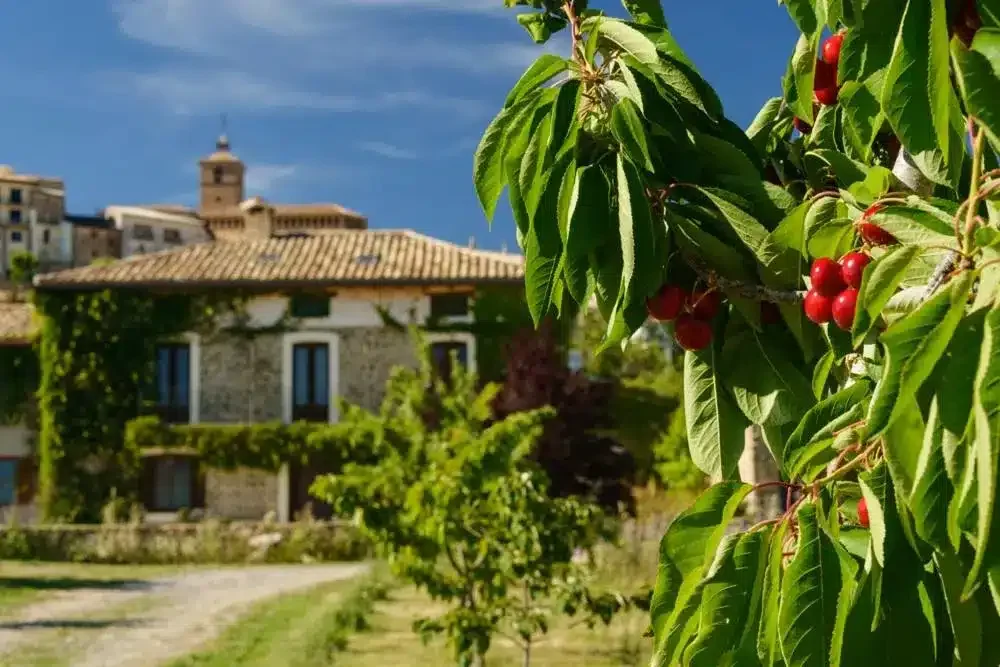 Casa Sarasa - Foto 3