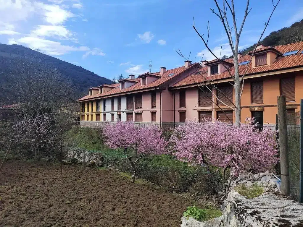 El Sol - Foto 2