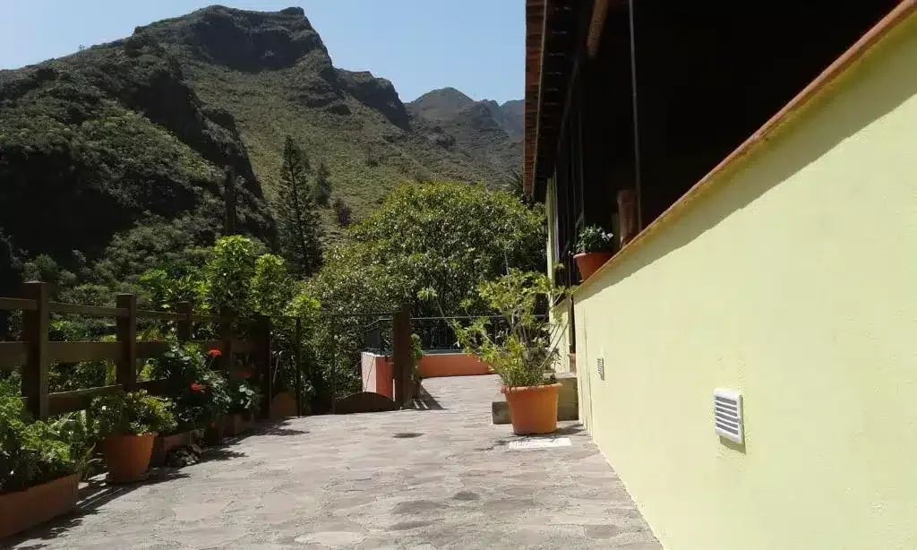 El Rincón del Olivo - Foto 1
