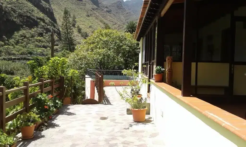 El Rincón del Olivo - Foto 5