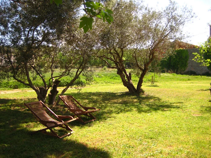 Can Brancos - Foto 5