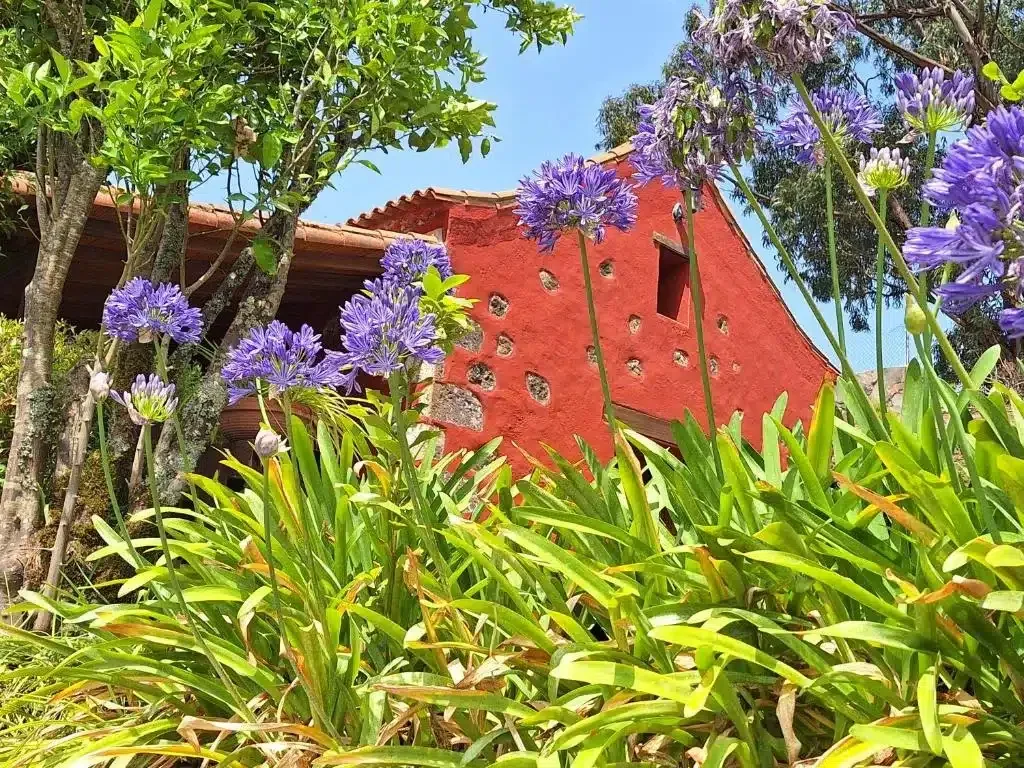 El Roble - Foto 1