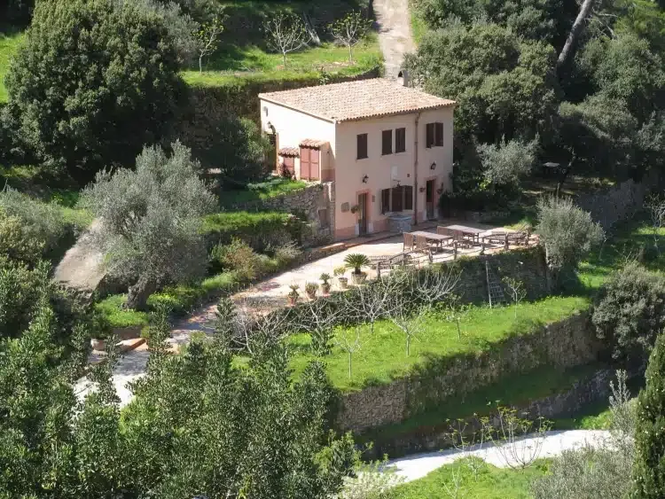 S’Olivar - Foto 2