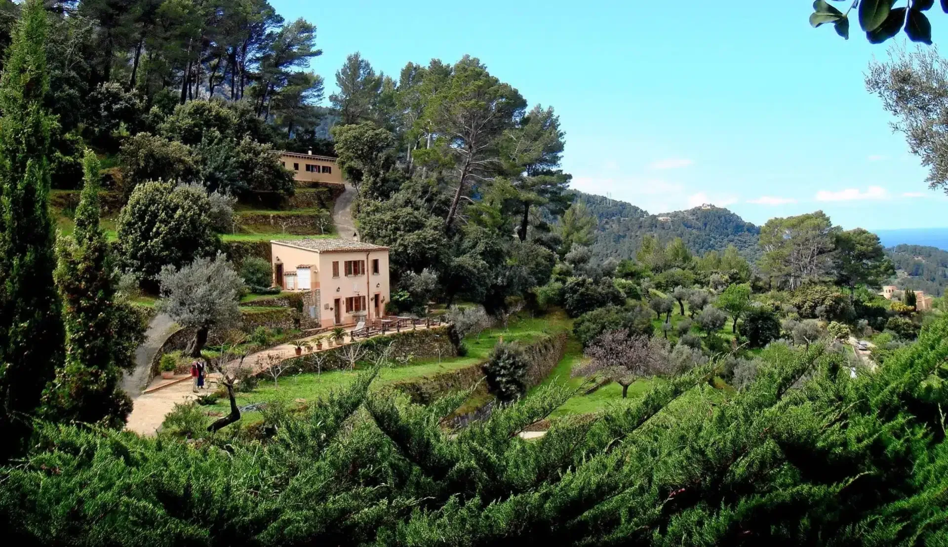 S’Olivar - Foto 3