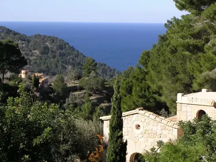 S’Olivar - Foto 4