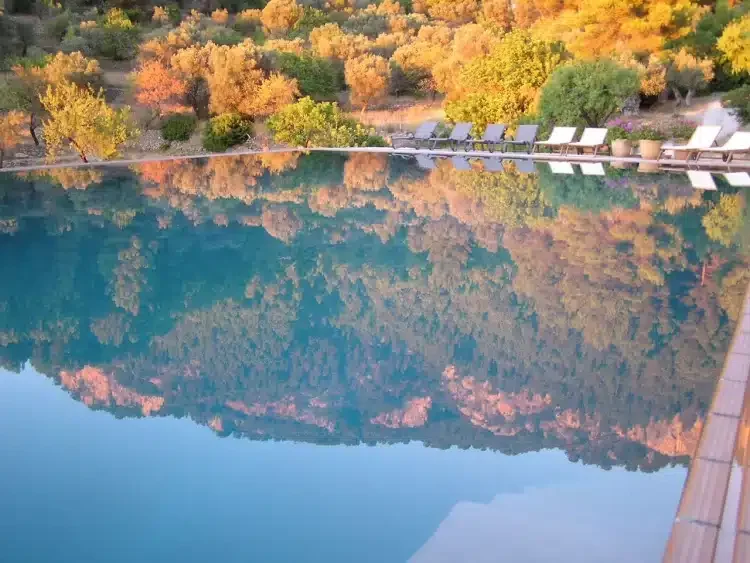 S’Olivar - Foto 5