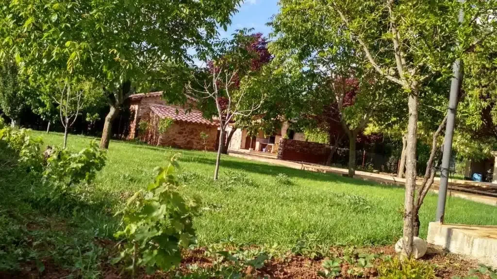 La Majana - Foto 3
