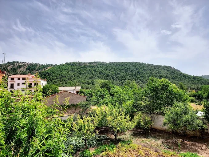 Casa Rural del Tío Perejil - Foto 4