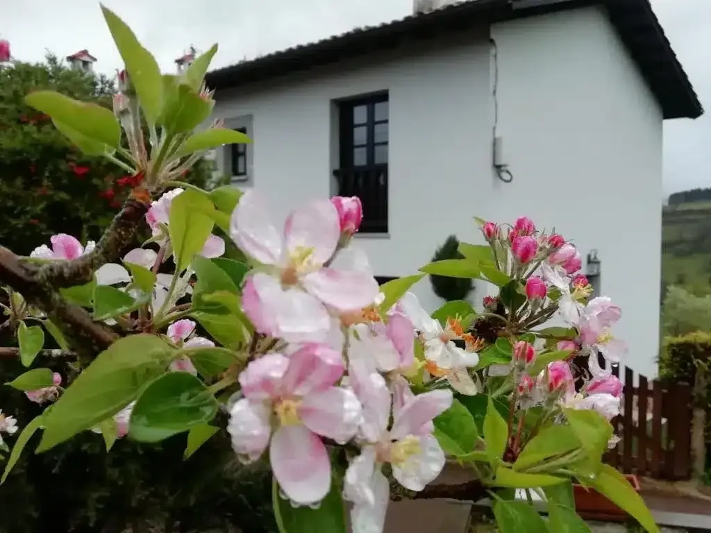 El Oteru - Foto 1