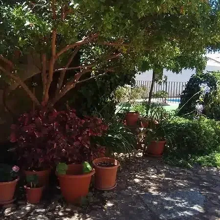 El Altozano - Foto 5