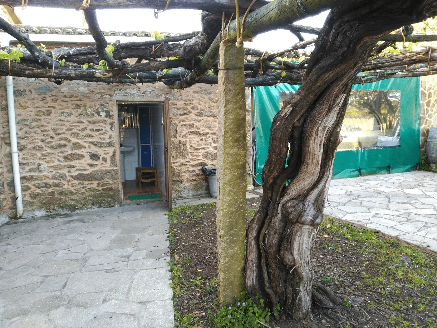 Pazo de Galegos - Foto 5