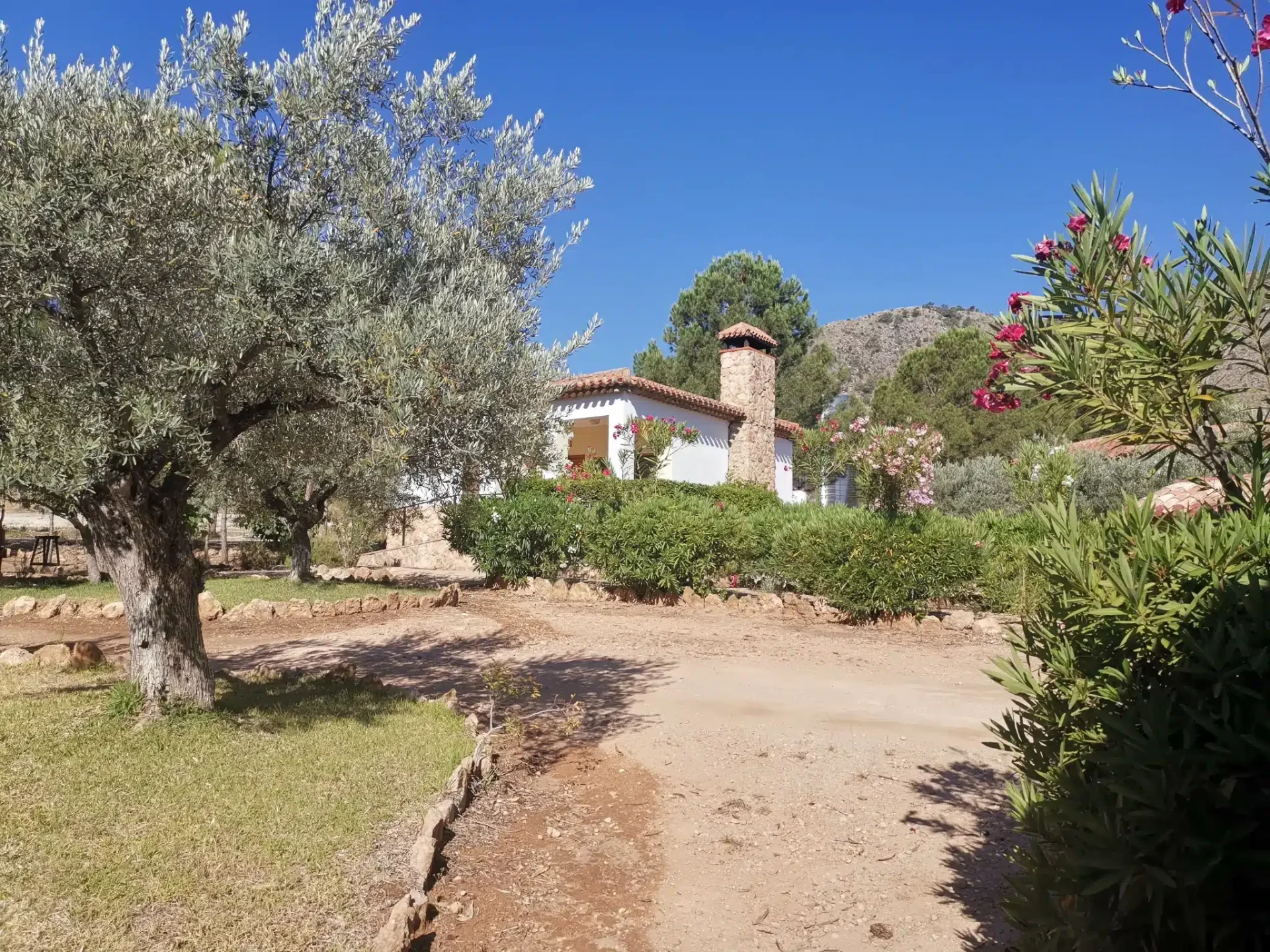 ALDEA TURÍSTICA Y CAMPING EL CAÑAR - Foto 1
