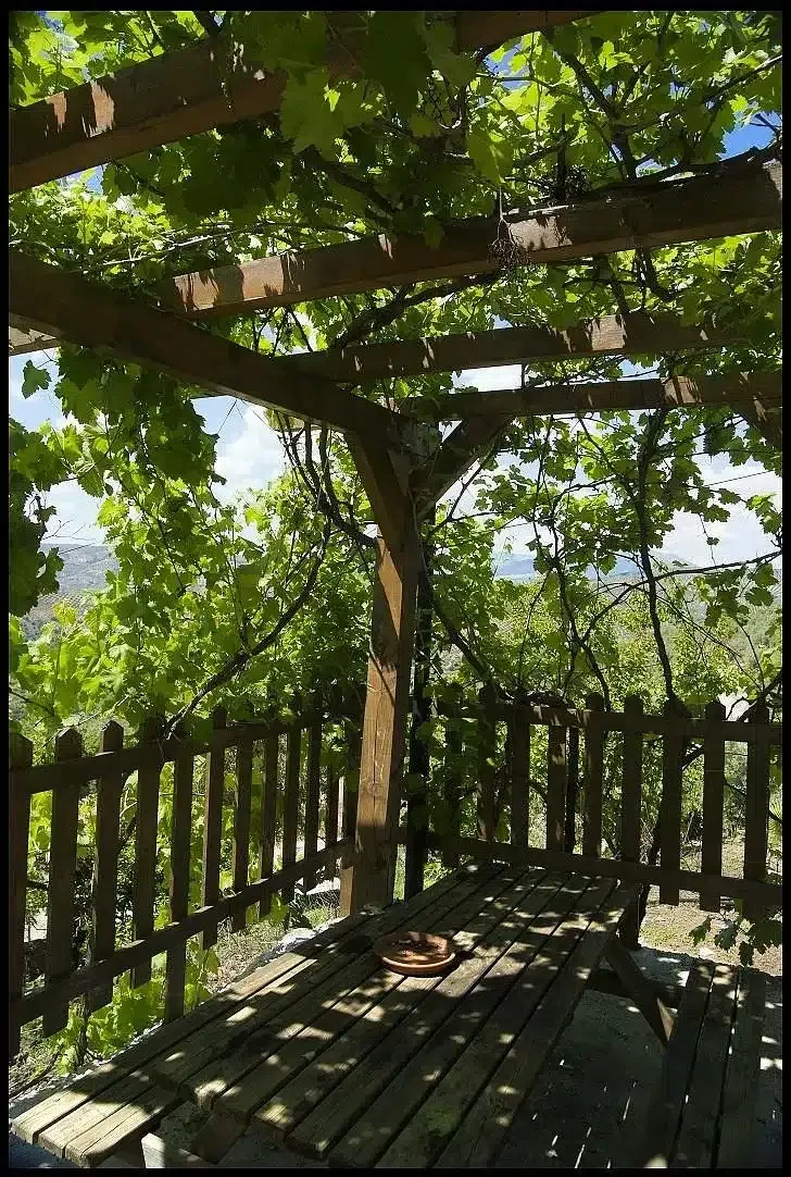 HUERTA AVILILLA - Foto 2