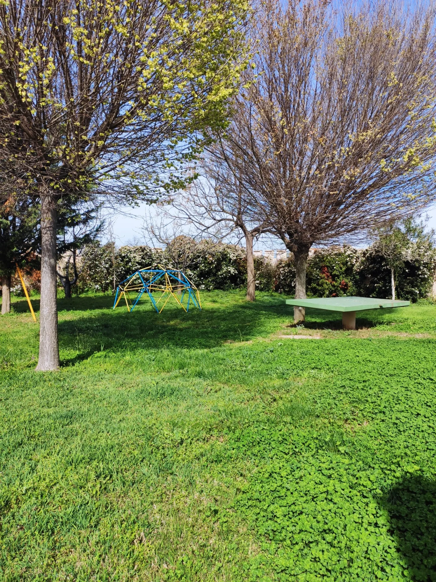 Casa Rural La Alcazaba - Foto 5