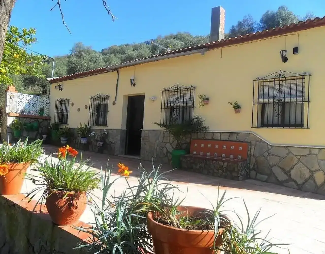 Casa Rural Antonio Parra - Foto 1