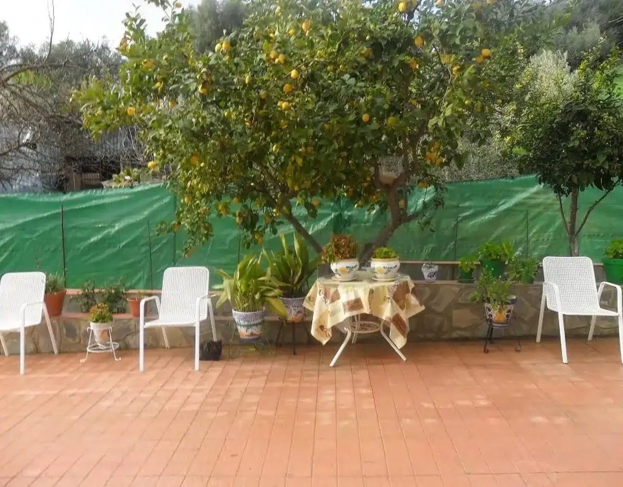 Casa Rural Antonio Parra - Foto 3