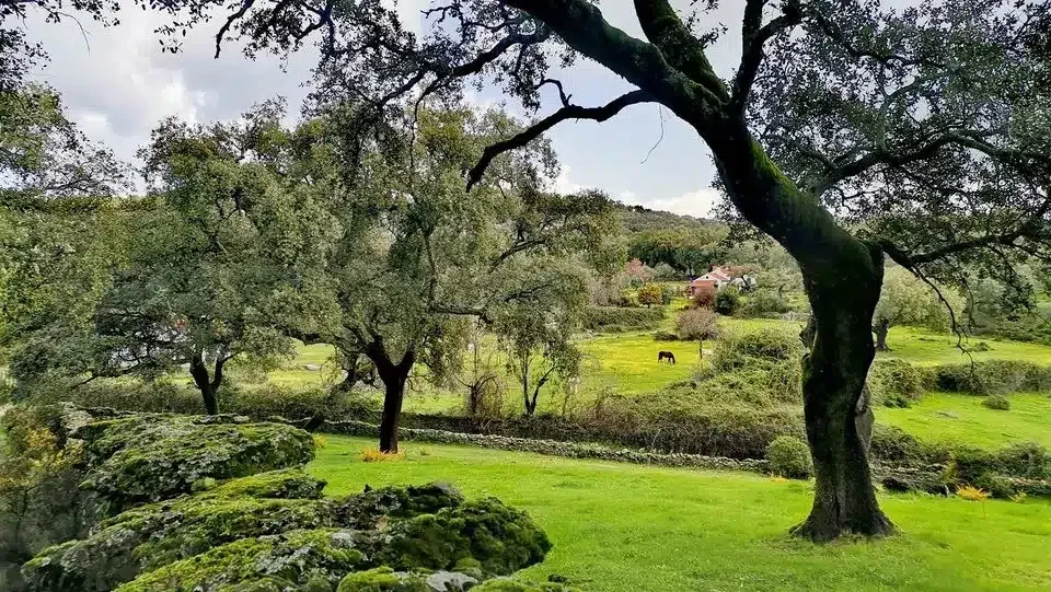 Casas Rurales Huertaviña - Foto 5